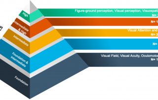 visual perception assessment levels